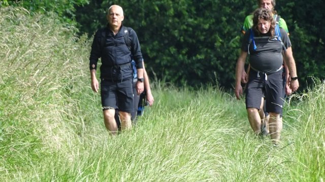 Singels en essen wandeltocht (zondag  9 juni 2024)